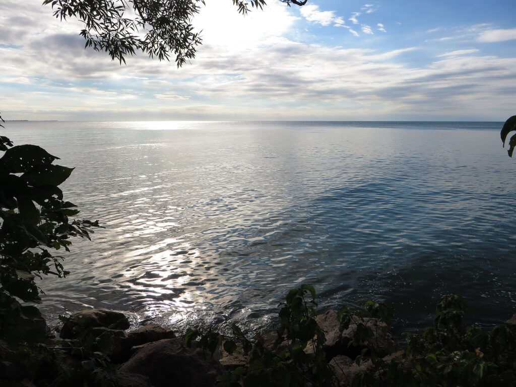 Point Pelee, Leamington, Ontario